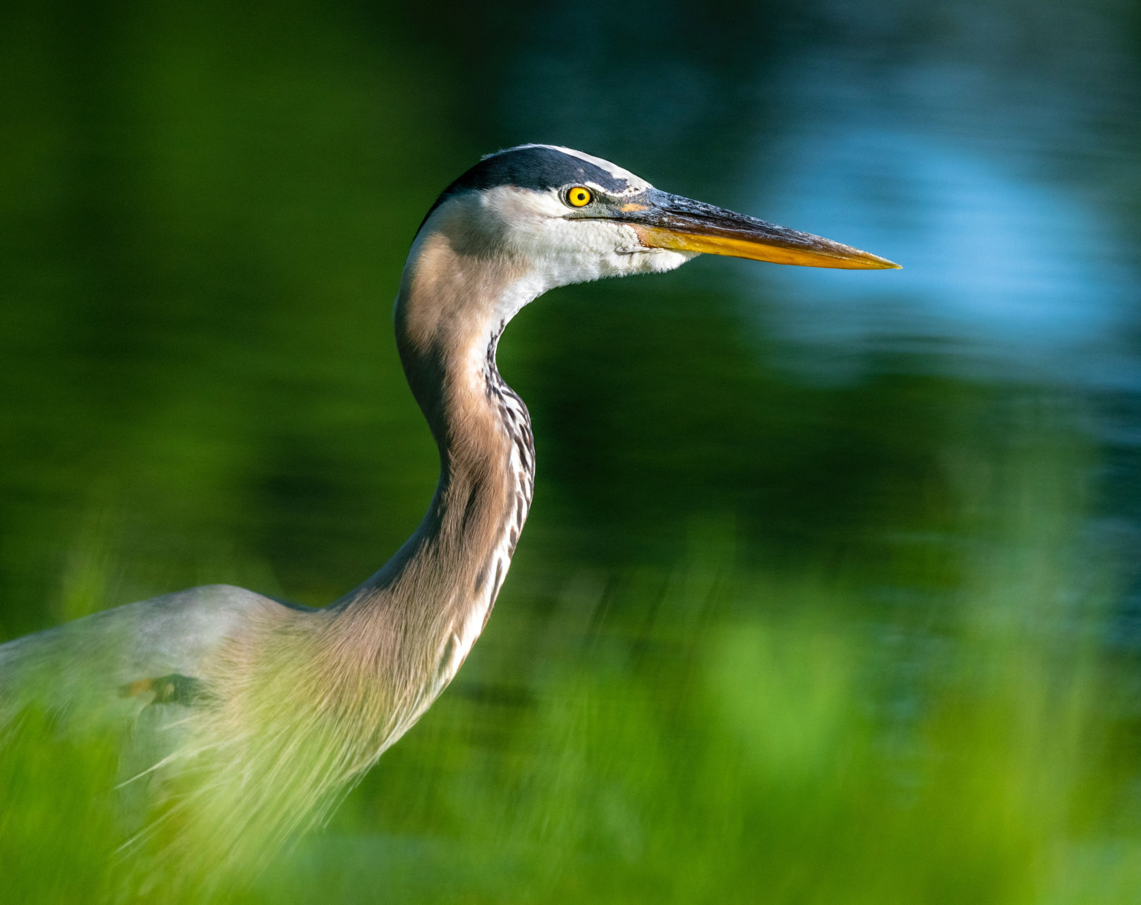 Tom White photography